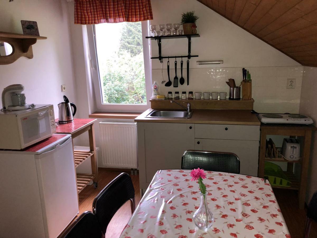 U Kamenky Apartment Vrchlabí